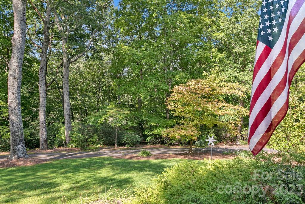 330 Beau Valley Road Tryon, NC 28782 - Photo 40 of 42 a backyard of a house with a yard and outdoor seating