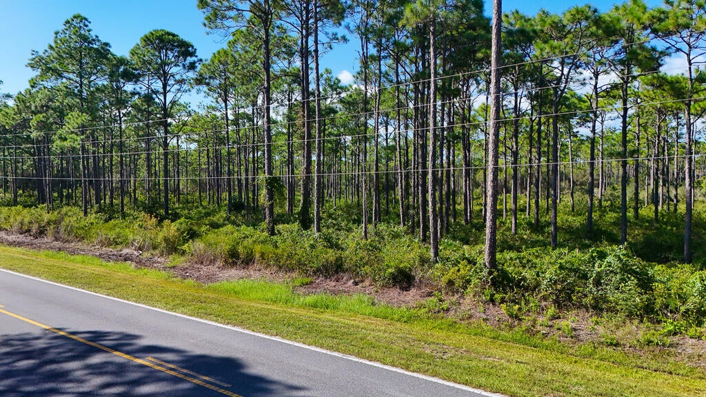 265 Twin Lakes Road Eastpoint, FL 32328 - Photo 14 of 18 Gallery Image 14