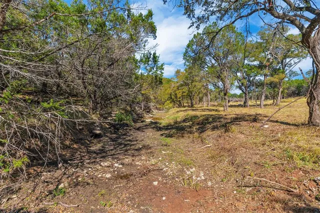 a view of a yard with trees