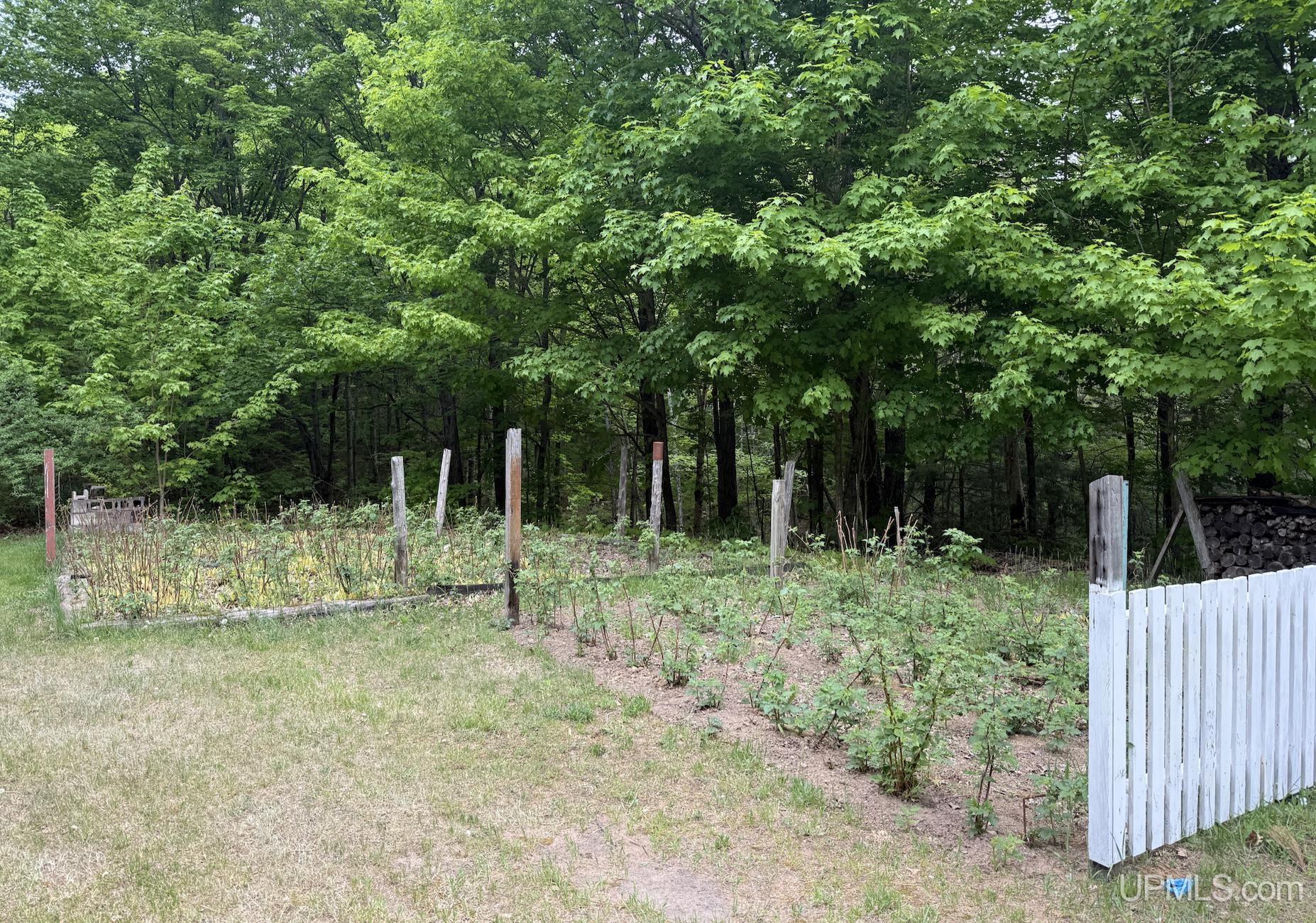 1605 Engman Lake Road Skandia, MI 49885 - Photo 64 of 90