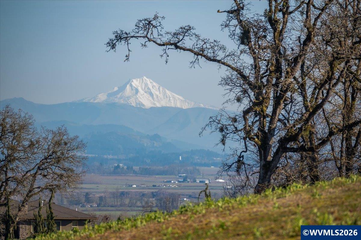 8216 Enchanted Ridge Court Southeast Turner, OR 97392 - Photo 17 of 18