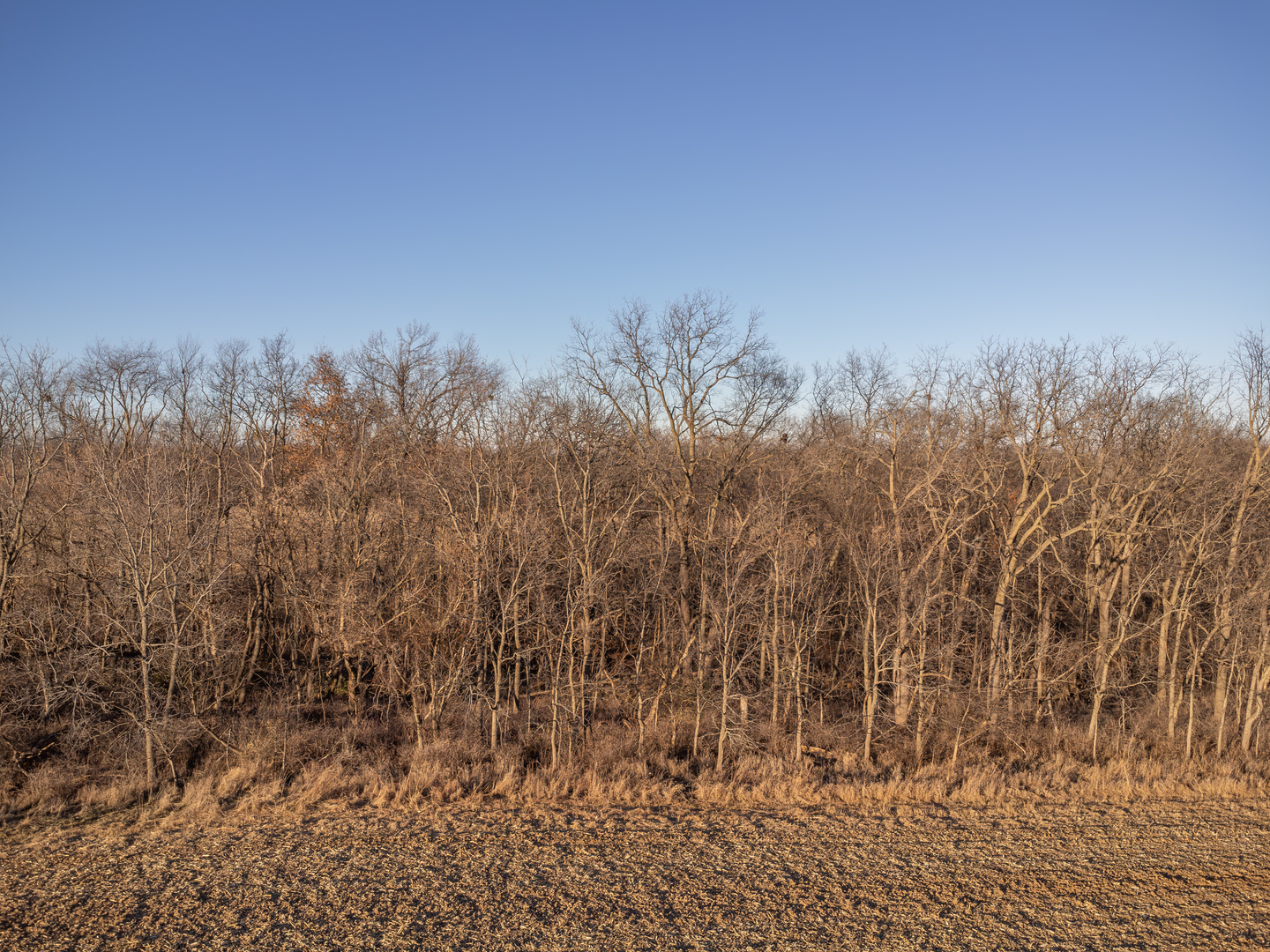 5753 North Shippee Road Lena, IL 61048 - Photo 4 of 14 a view of a yard