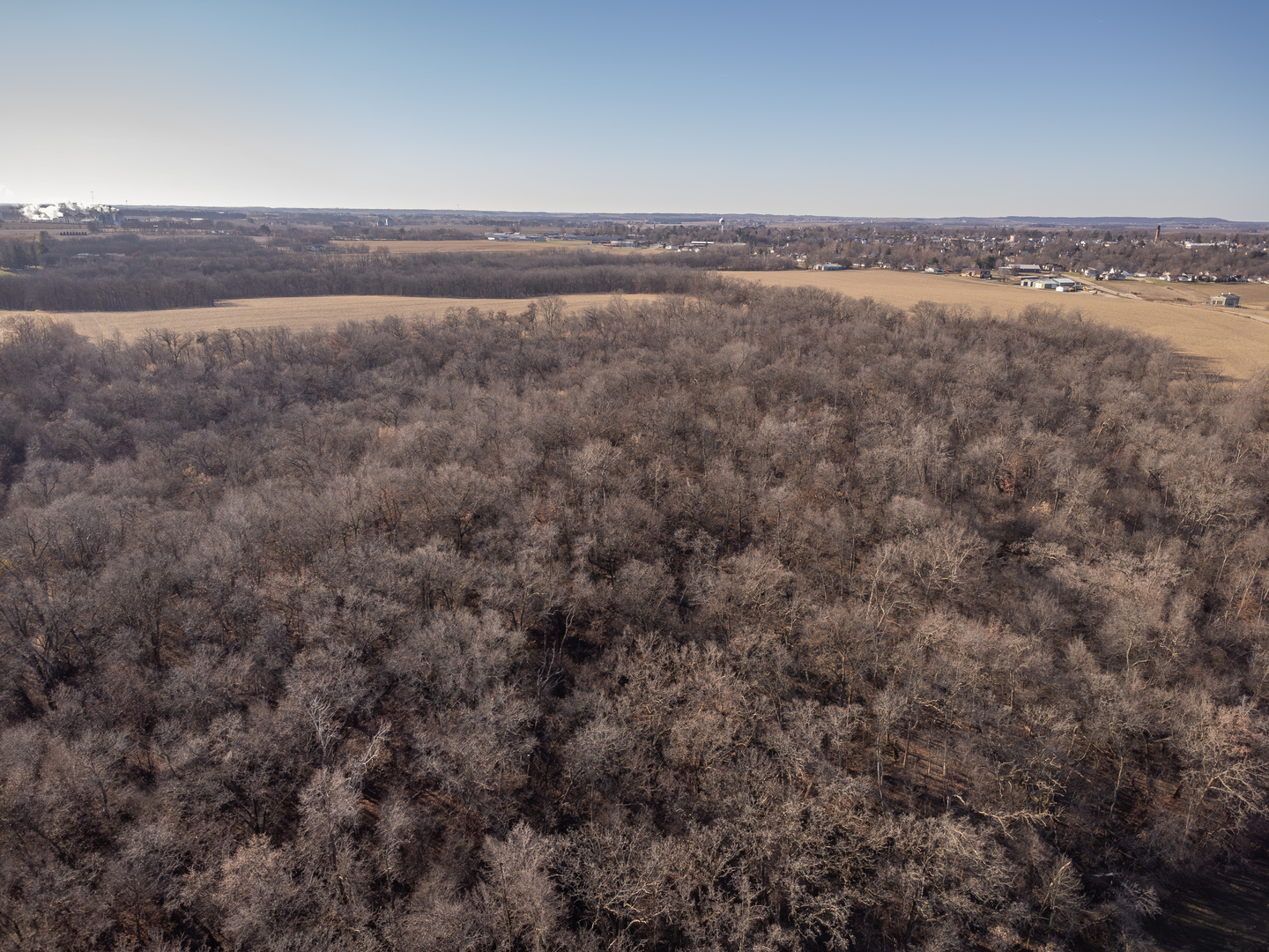 5753 North Shippee Road Lena, IL 61048 - Photo 6 of 14 a view of a dry yard with wooden floor