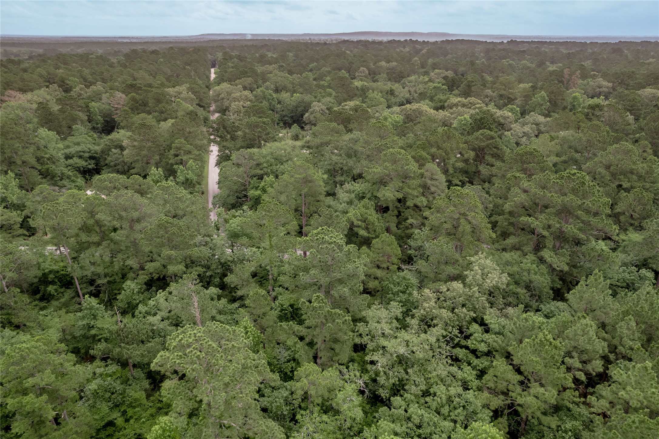 Lot 08 Oak Drive Trinity, TX 75862 - Photo 17 of 32