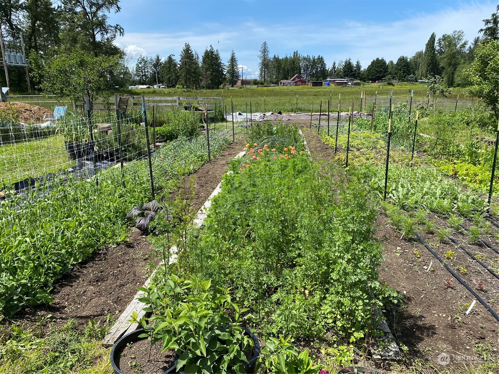15319 Roosevelt Road Snohomish, WA 98290 - Photo 27 of 34 Gallery Image 27