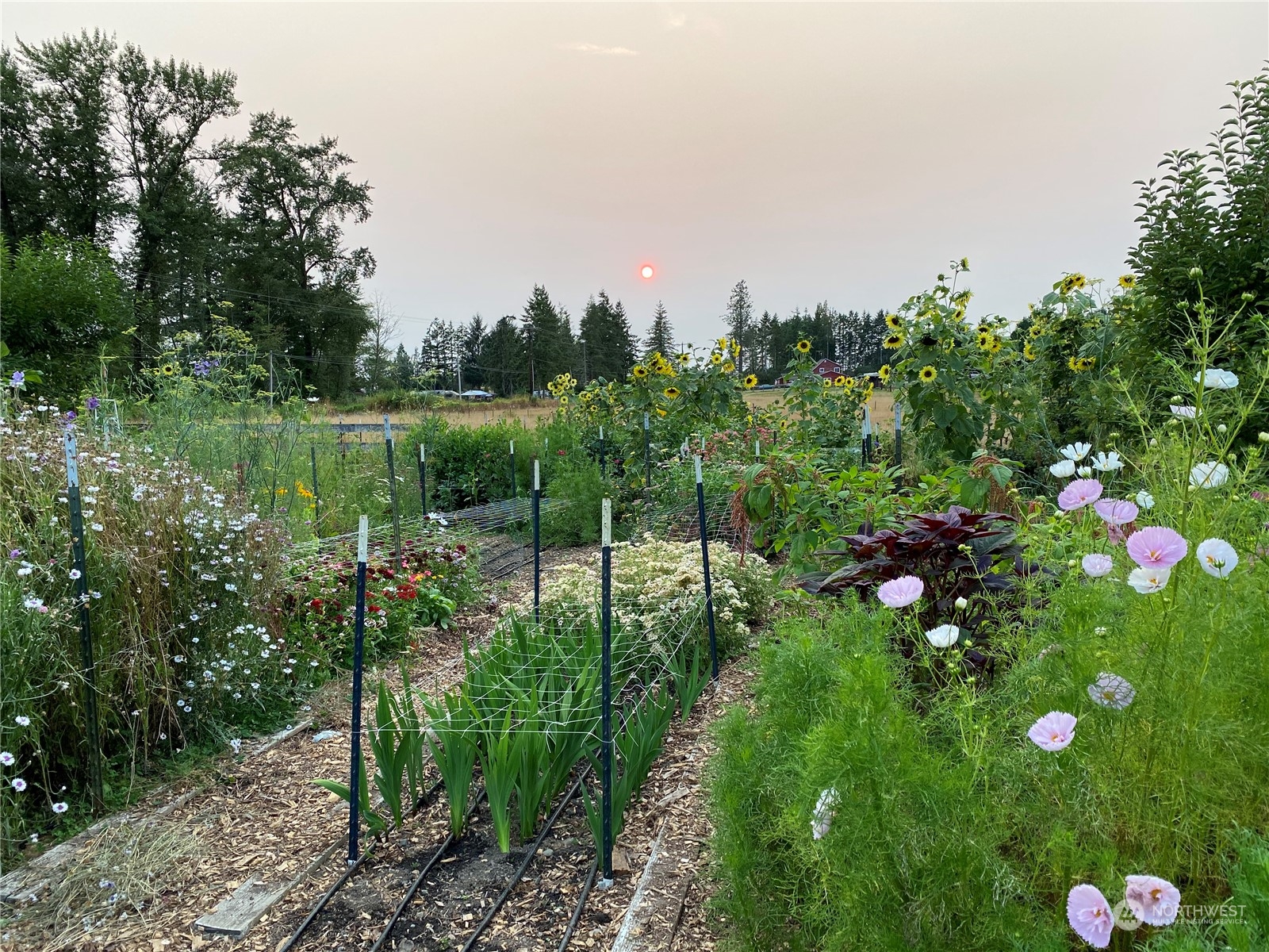 15319 Roosevelt Road Snohomish, WA 98290 - Photo 31 of 34 Gallery Image 31