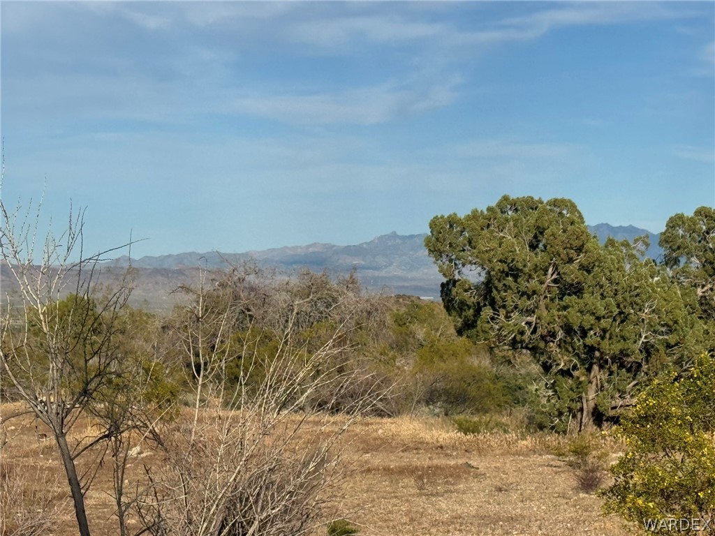 1853 Gisela Road Golden Valley, AZ 86413 - Photo 10 of 19 Gallery Image 10
