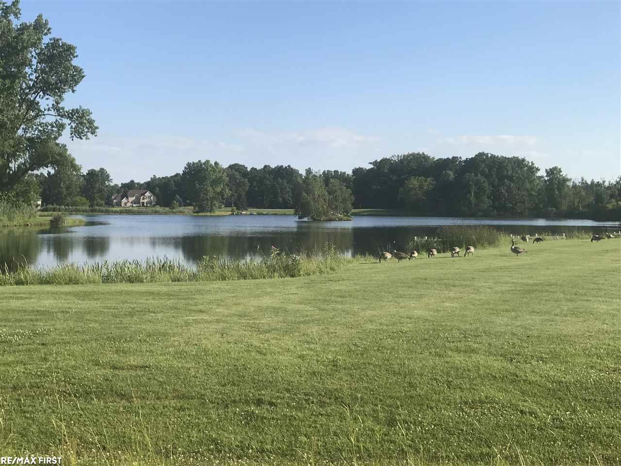 11546 Erin's Way Romeo, MI 48065 - Photo 21 of 29