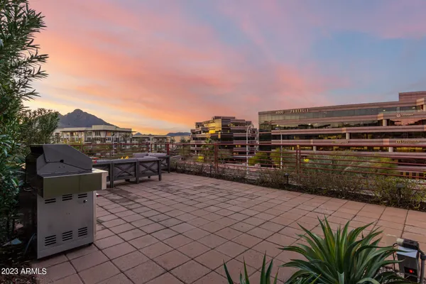 a roof deck with couches and potted plants