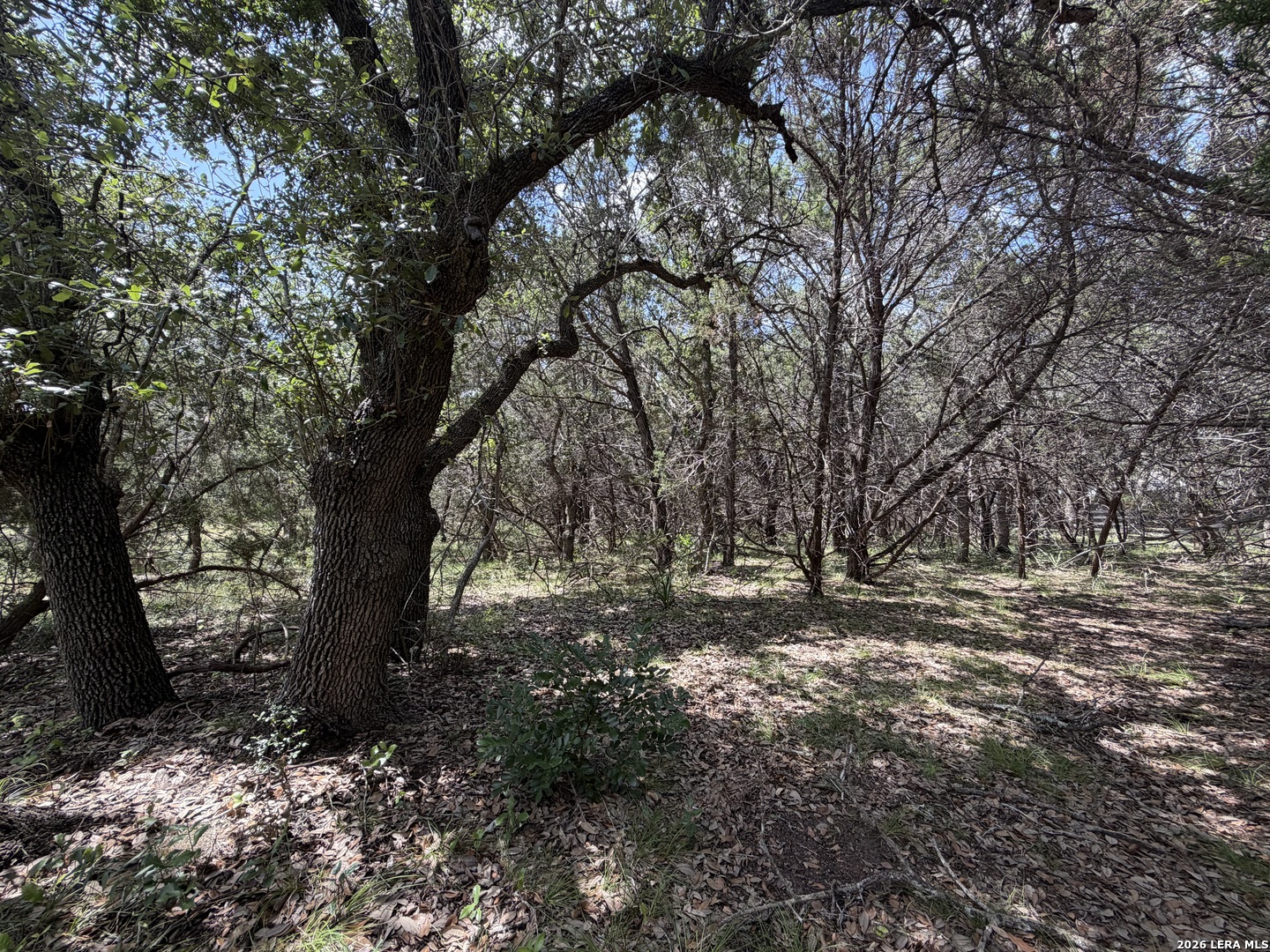180 Rosenberry Bulverde, TX 78163 - Photo 11 of 28 Gallery Image 11