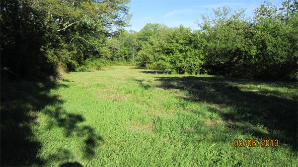 0 Sam Hill Road Worthington, MA 01098 - Photo 3 of 11 Gallery Image 3