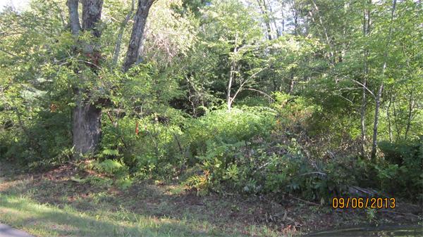 0 Sam Hill Road Worthington, MA 01098 - Photo 4 of 11 Gallery Image 4