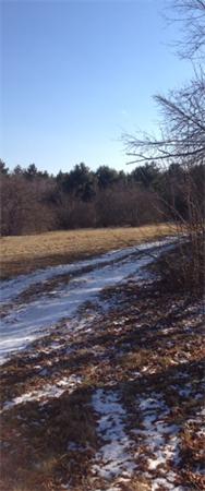 0 Sam Hill Road Worthington, MA 01098 - Photo 7 of 11 Gallery Image 7