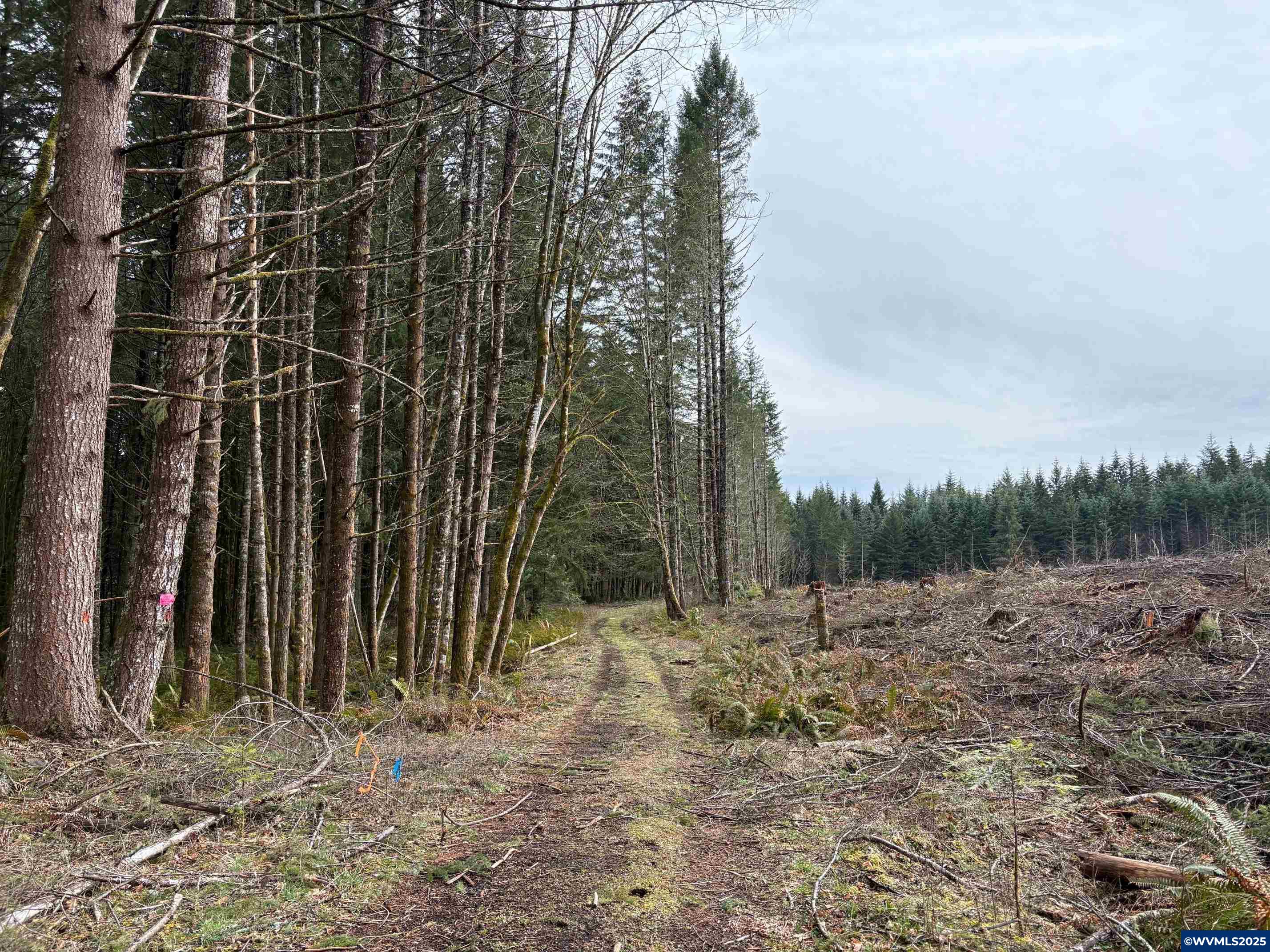 0 South Hardy Road Molalla, OR 97038 - Photo 23 of 26