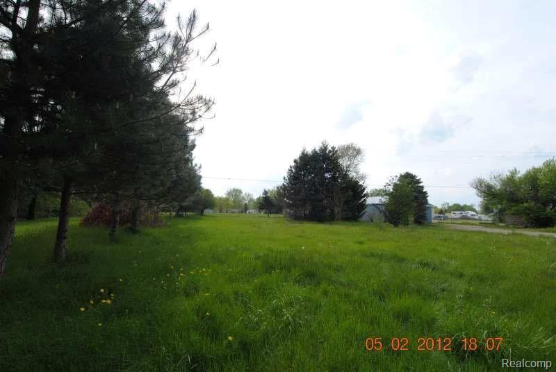 6360 Bunton Road Ypsilanti, MI 48197 - Photo 21 of 21 Yard View.JPG