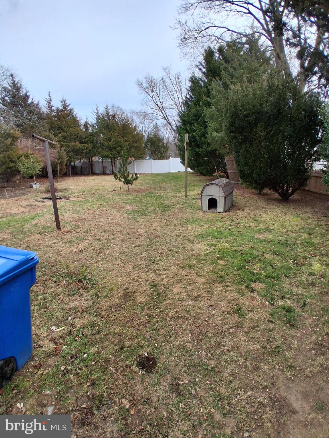 643 North Main Street Clayton, NJ 08312 - Photo 8 of 8 a backyard of a house with lots of green space