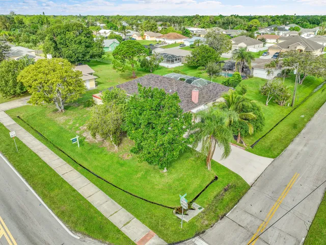 a view of a yard with plants and large trees
