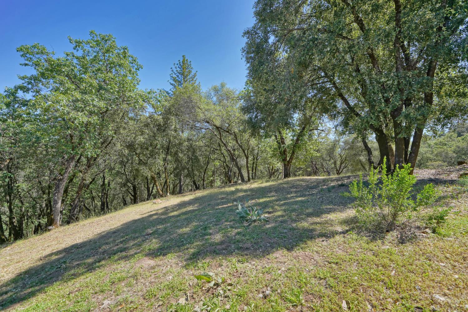 2469 Secret Ravine Trail Cool, CA 95614 - Photo 49 of 80