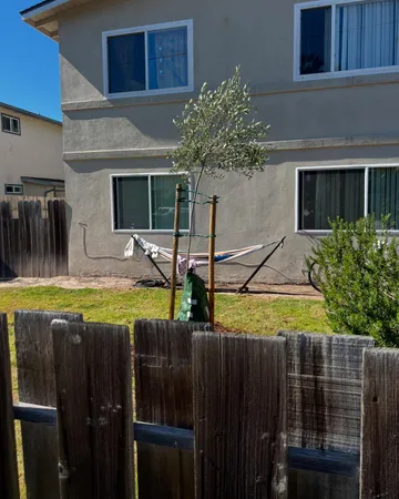 a view of a house with backyard and trees