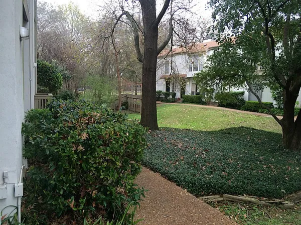 a view of a yard with plants and trees