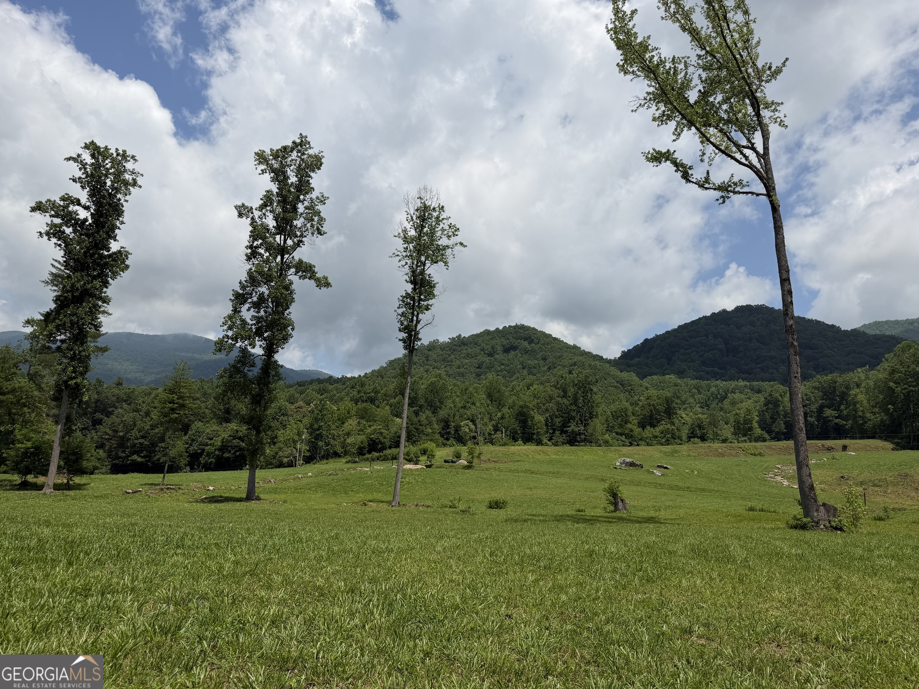 1449 Muskrat Creek Road Hayesville, NC 28904 - Photo 53 of 95