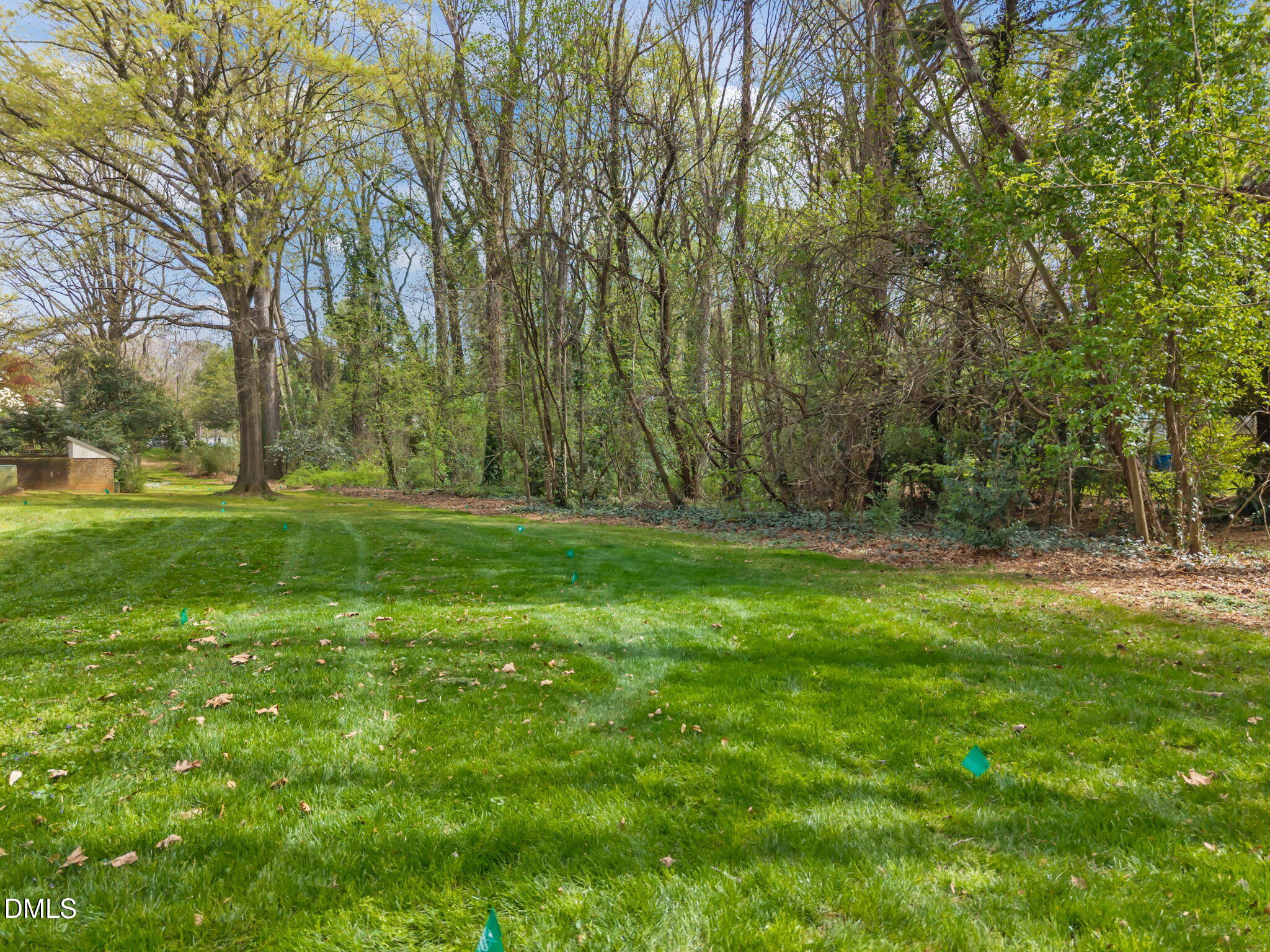 2925 Wycliff Road Raleigh, NC 27607 - Photo 46 of 58 Backyard