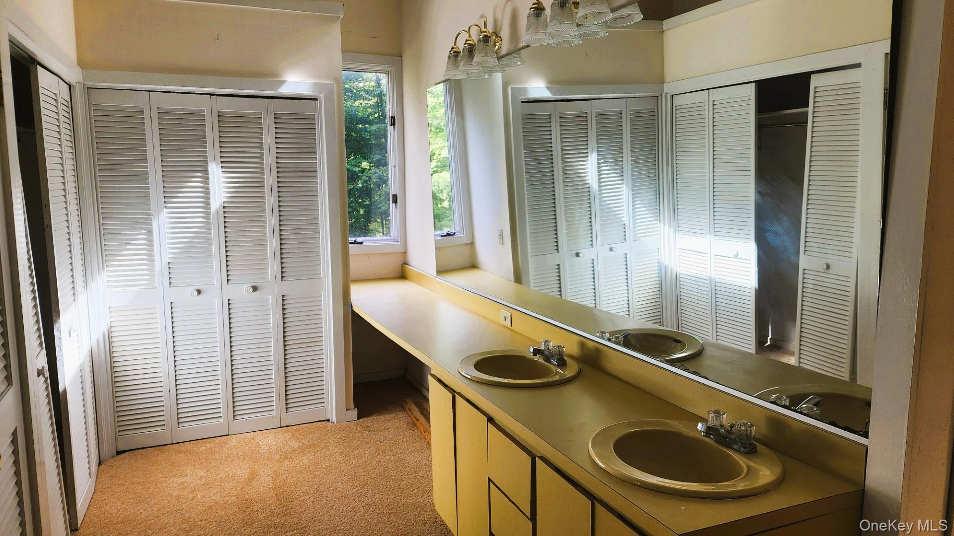 402 Hortontown Road Hopewell Junction, NY 12533 - Photo 22 of 29 a bathroom with a sink a mirror and a shower