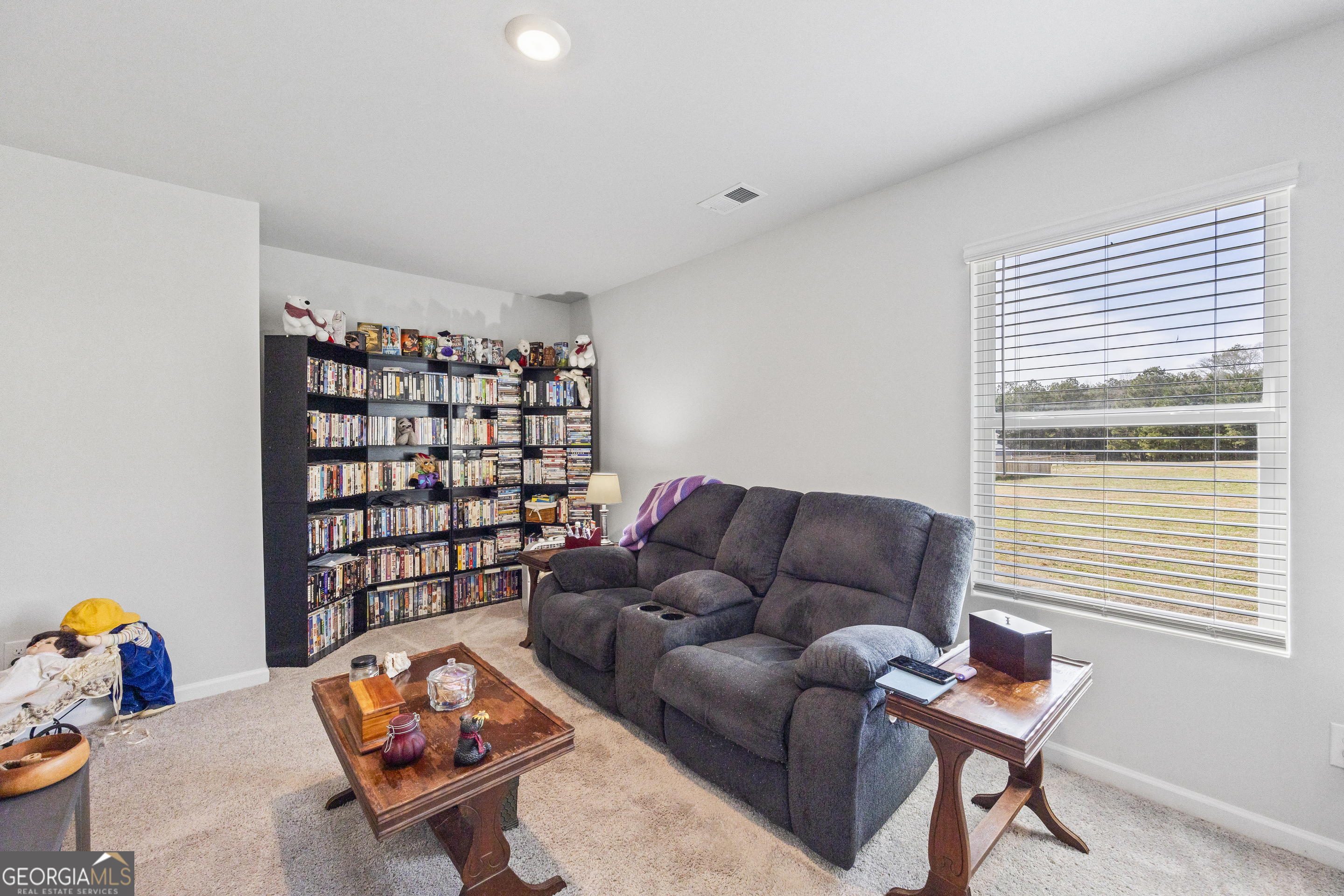 1064 Emmas Path Monroe, GA 30656 - Photo 34 of 55 a living room with furniture a rug and a window