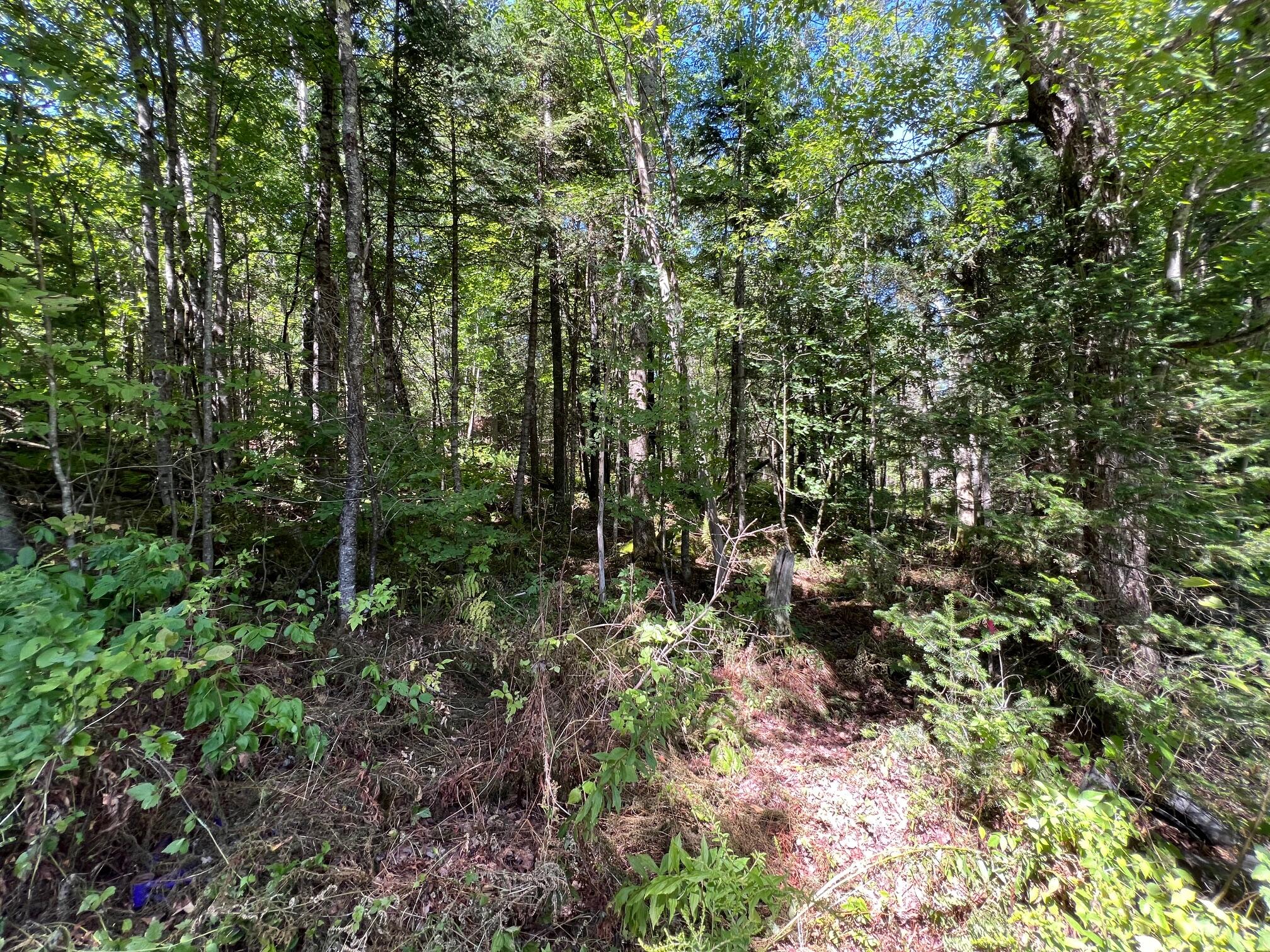 3 Map Road Pittsfield, ME 04967 - Photo 3 of 11 3