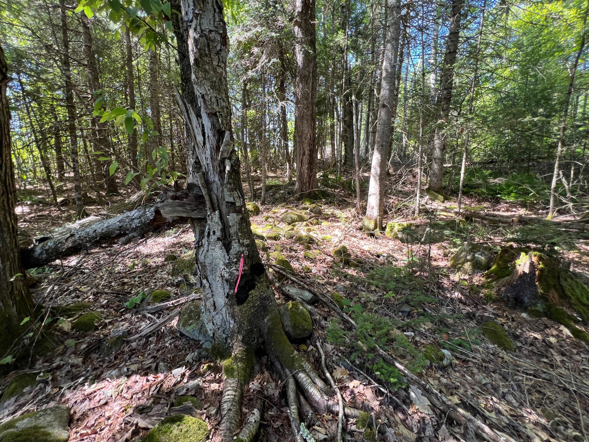 3 Map Road Pittsfield, ME 04967 - Photo 4 of 11 4