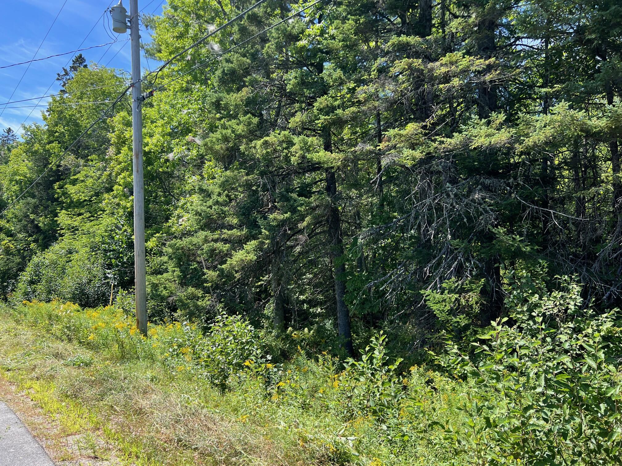 3 Map Road Pittsfield, ME 04967 - Photo 9 of 11 9