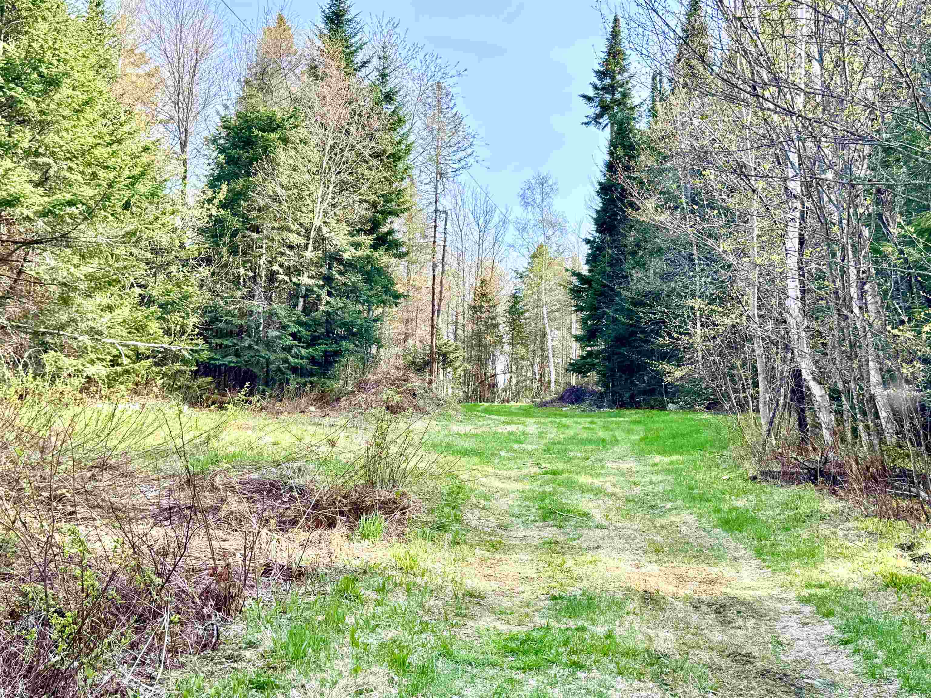 40 Griffin Road Stewartstown, NH 03576 - Photo 34 of 34