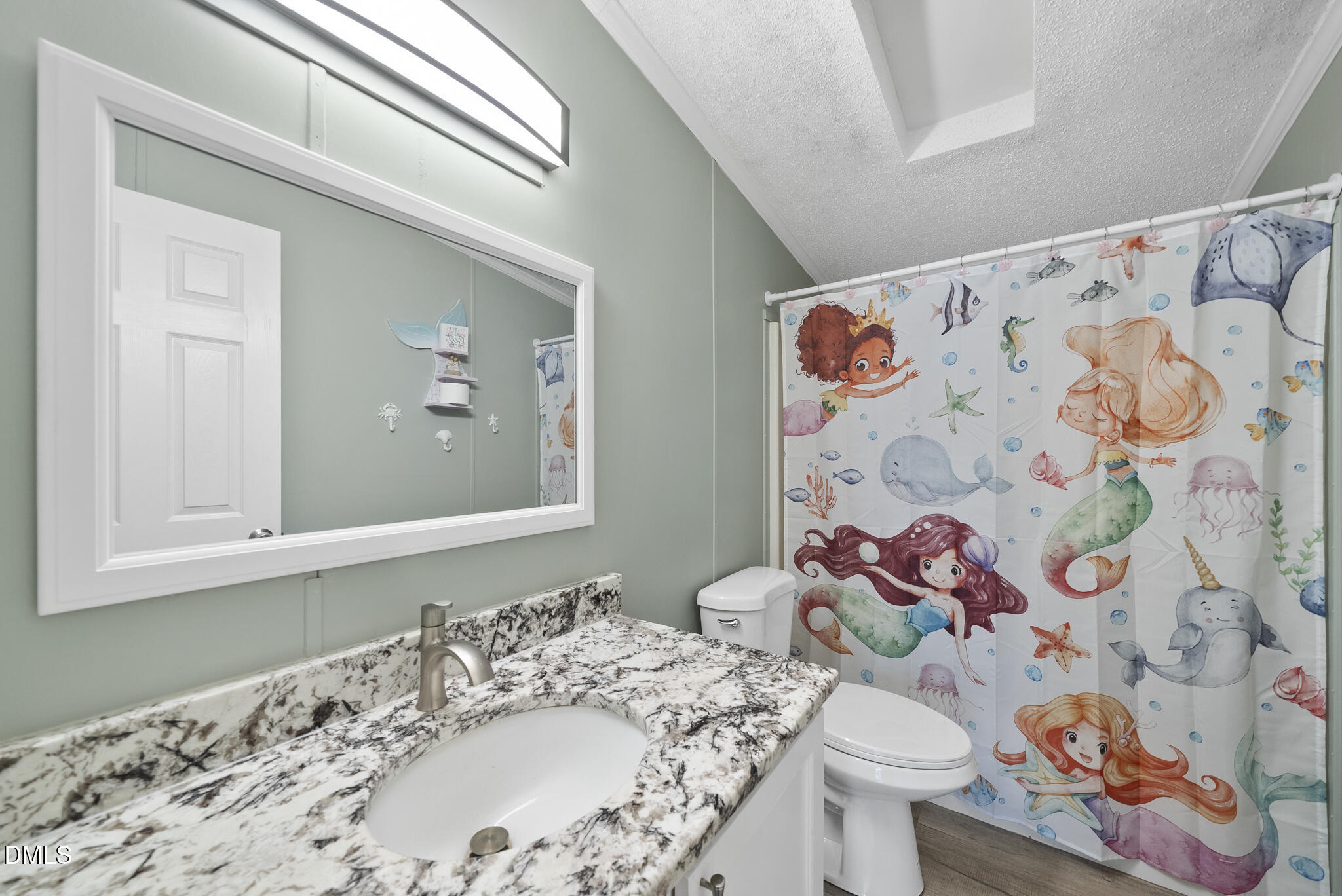 4703 Trinity Lane Rougemont, NC 27572 - Photo 27 of 55 a bathroom with a sink toilet and vanity