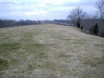 0 Milltown Road Moorefield, KY 40350 - Photo 1 of 5 Photo 1