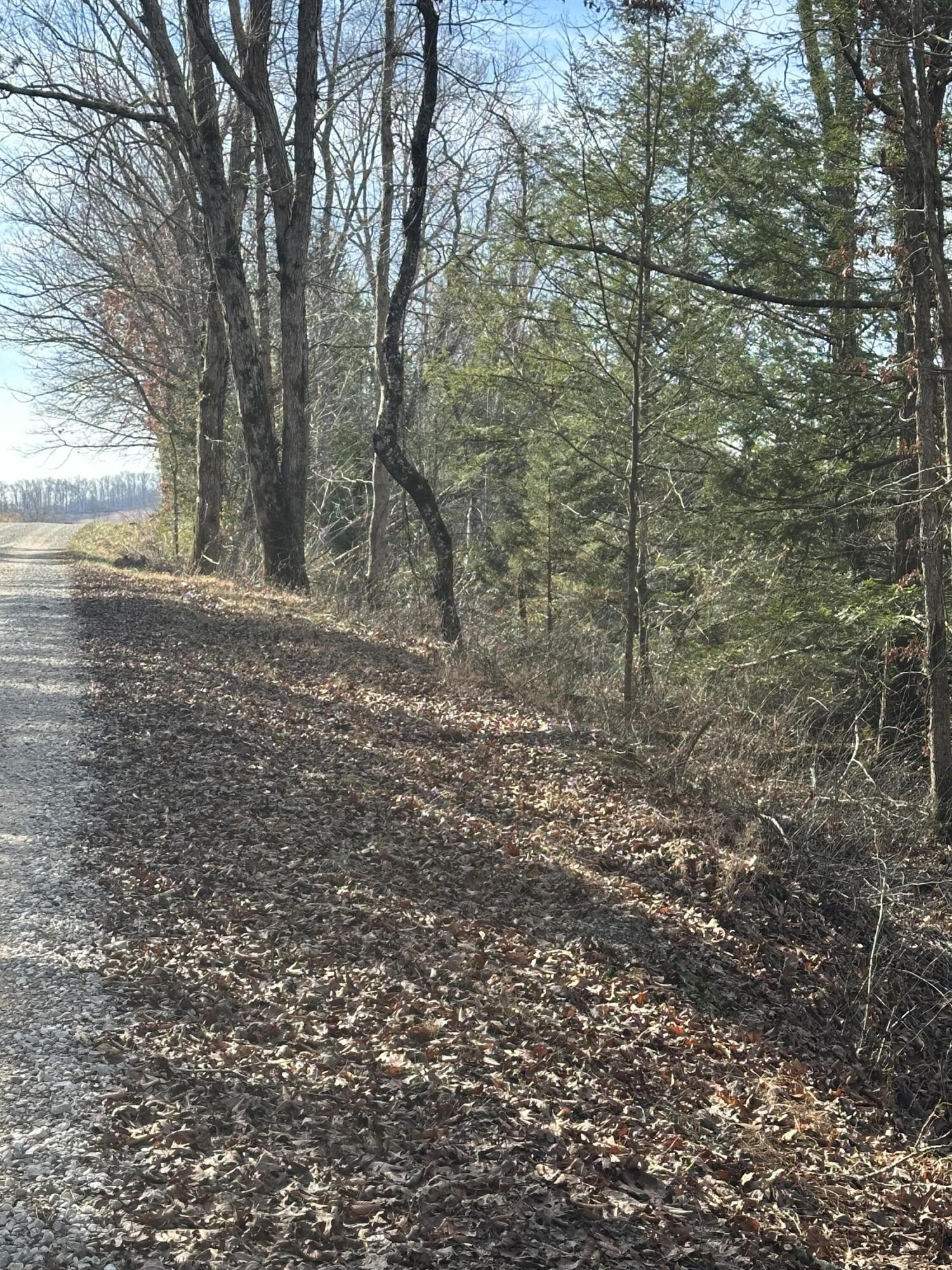 9 B Baldwin Road McKee, KY 40447 - Photo 15 of 17 NATURE