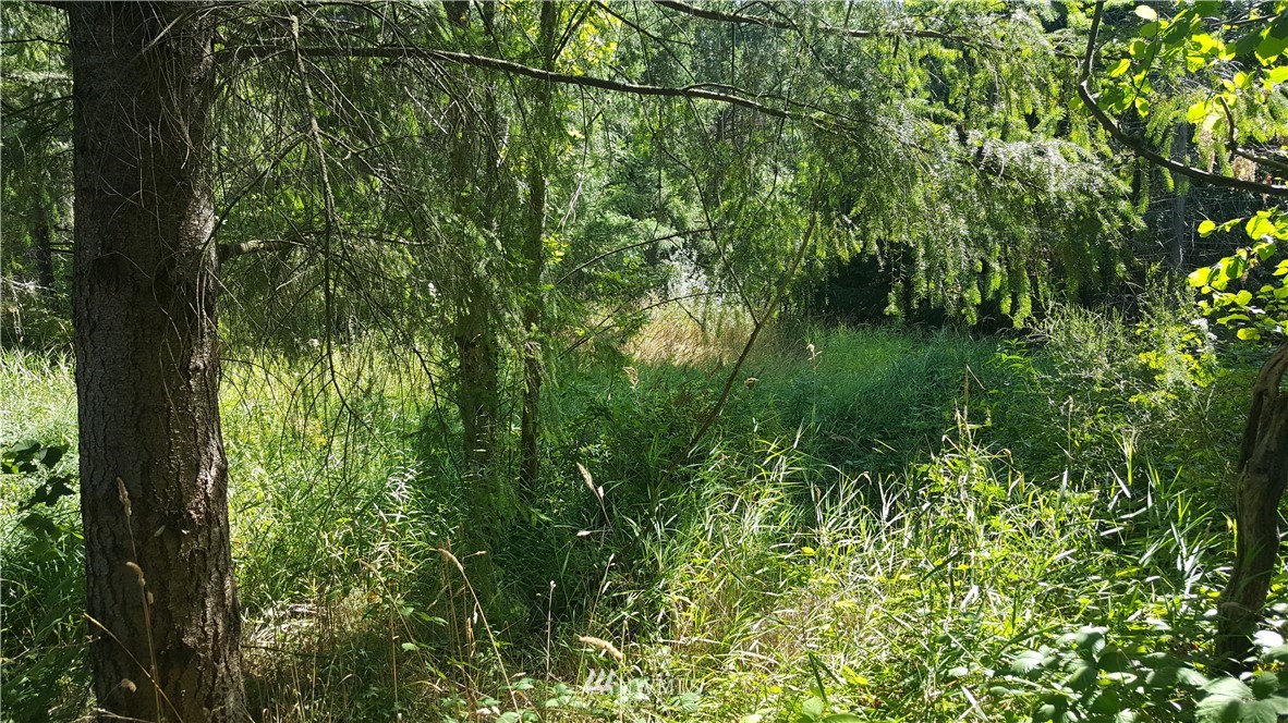33311 Locke Road Roy, WA 98580 - Photo 12 of 17 Gallery Image 12