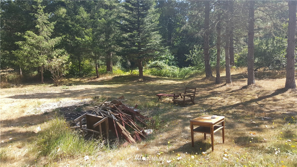 33311 Locke Road Roy, WA 98580 - Photo 15 of 17 Gallery Image 15