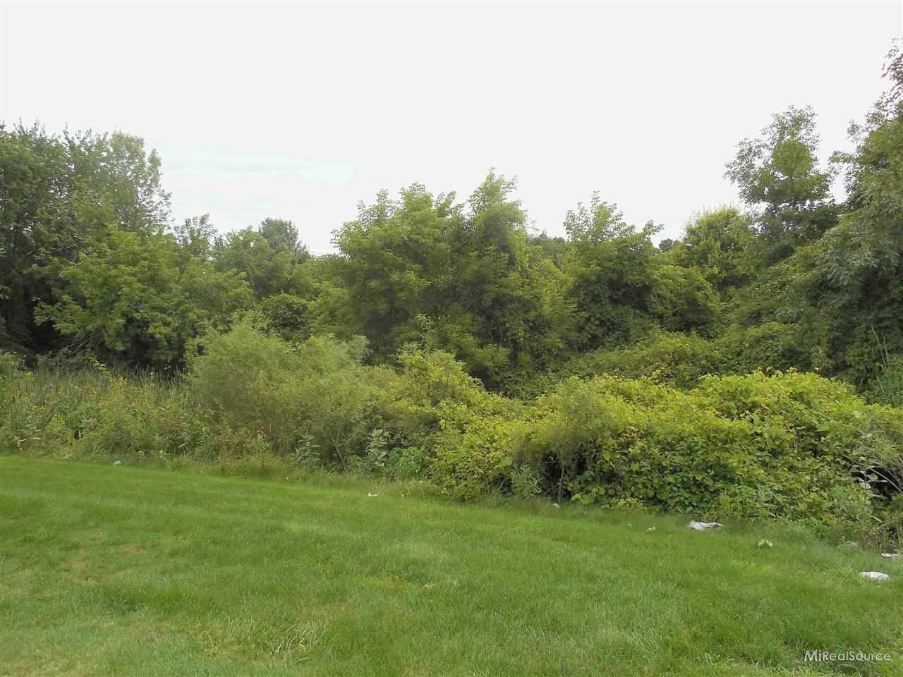 48594 Sugarbush Road, Unit 67 New Baltimore, MI 48047 - Photo 8 of 8