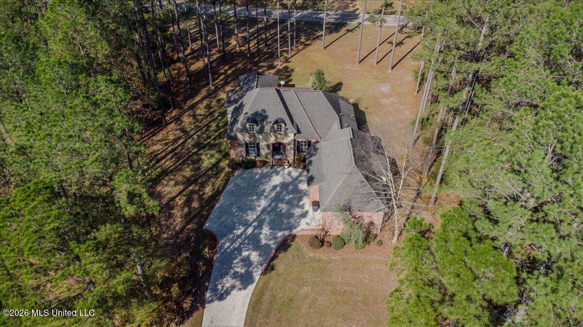 10 Magnolia Crossing Road Sumrall, MS 39482 - Photo 30 of 34 Aerial