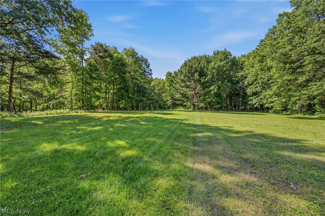 6832 Hillside Road Independence, OH 44131 - Photo 39 of 44 View of lot and deep yard
