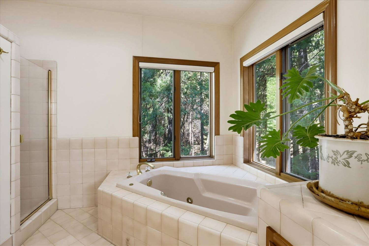 11010 Success Cross Road Nevada City, CA 95959 - Photo 40 of 89 Primary Bath