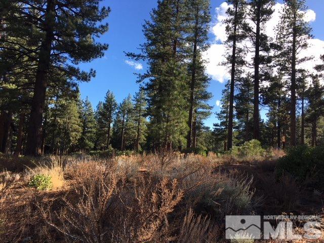 9000 Blue Spruce Road Reno, NV 89511 - Photo 7 of 8 Photo 7