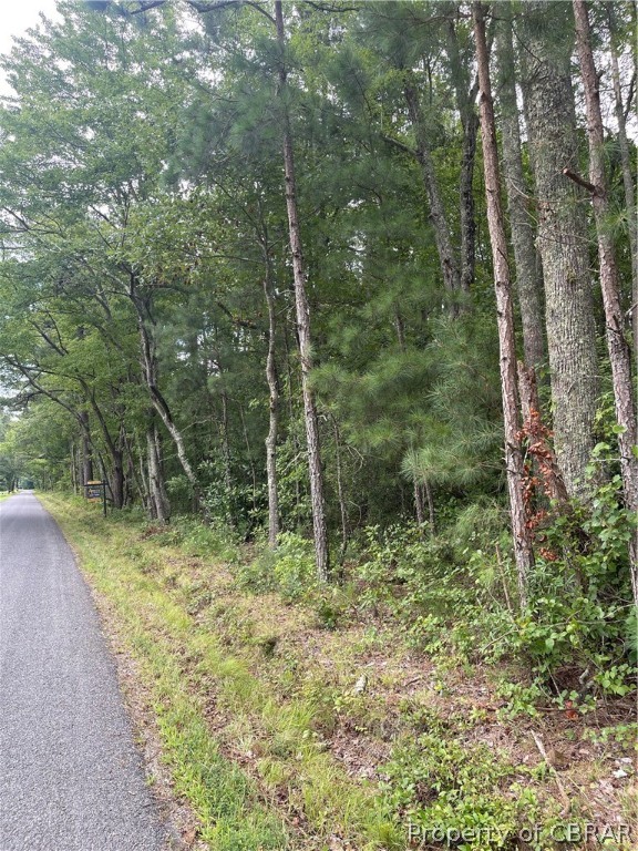 0 Line Fence Road Hayes, VA 23072 - Photo 13 of 14