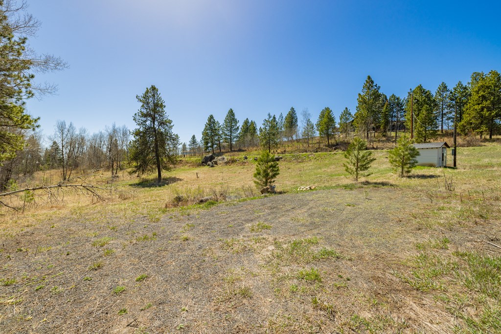 Tbd Morell Road McCall, ID 83638 - Photo 2 of 22
