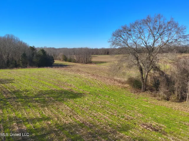 $2,156,000 | 579 Black Jack Road, Vaughan, MS 39179