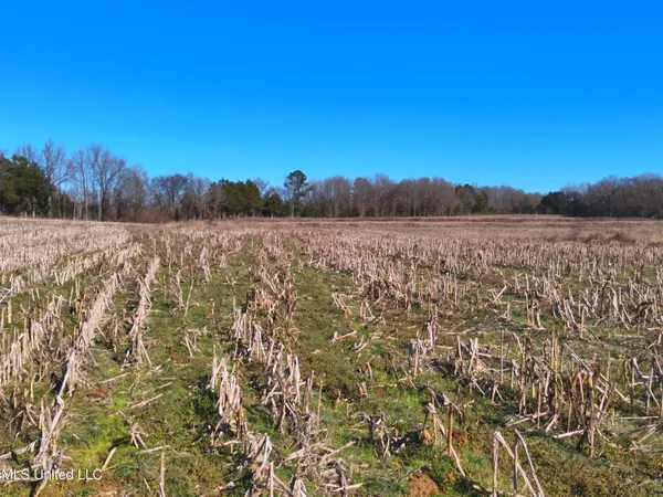 $2,156,000 | 579 Black Jack Road, Vaughan, MS 39179