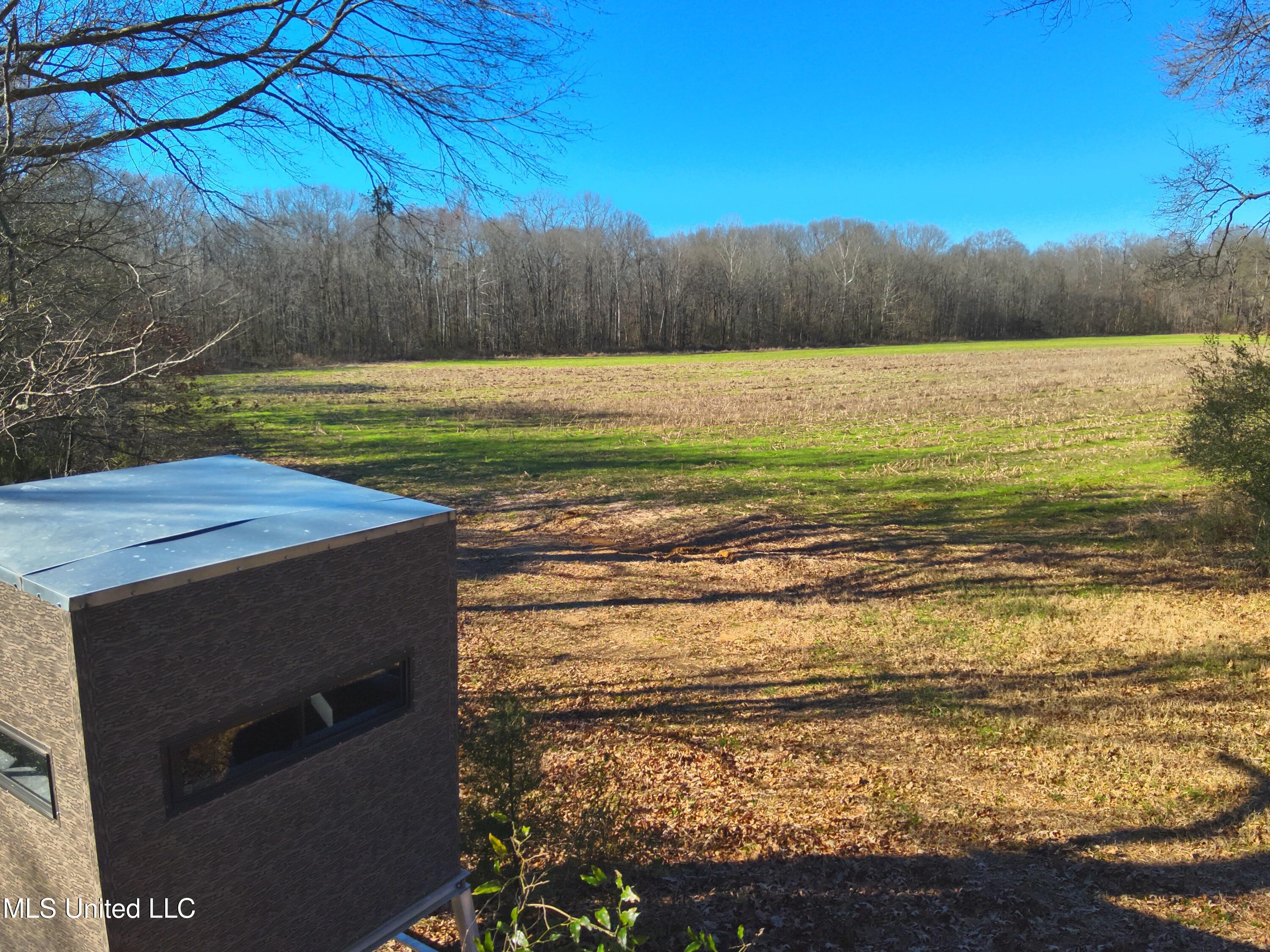 579 Black Jack Road Vaughan, MS 39179 - Photo 12 of 26 DJI_20260115140116_0017_V