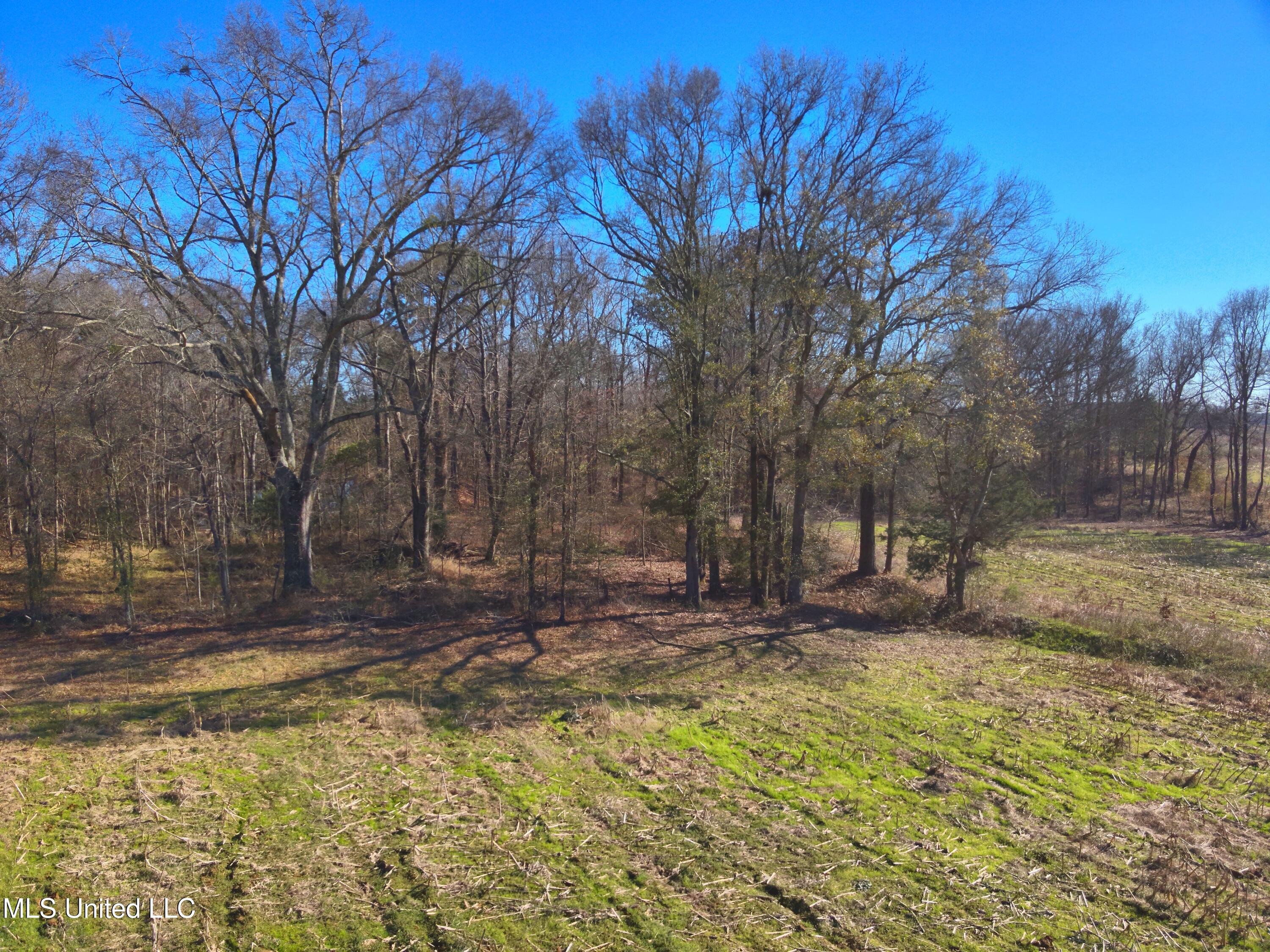 579 Black Jack Road Vaughan, MS 39179 - Photo 13 of 26 DJI_20260115135226_0002_V