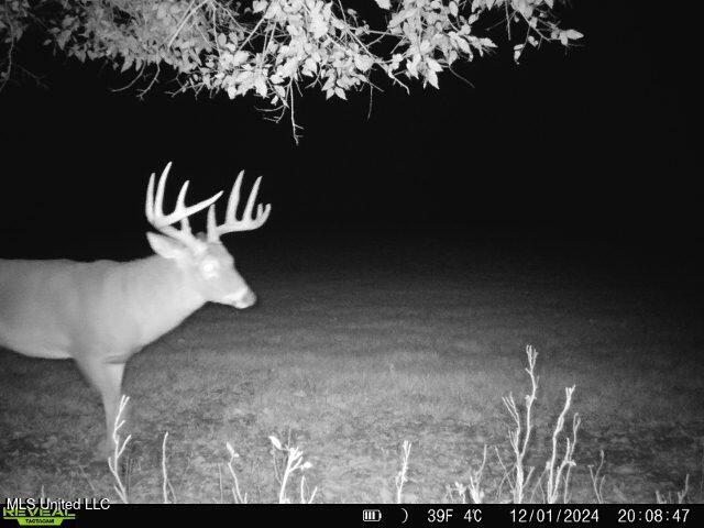 579 Black Jack Road Vaughan, MS 39179 - Photo 14 of 26 IMG_1562