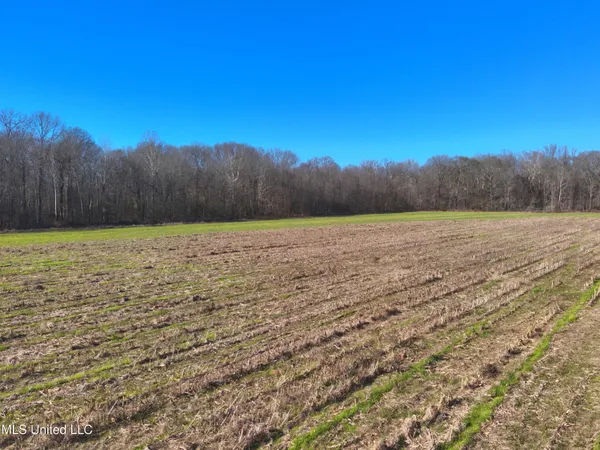 $2,156,000 | 579 Black Jack Road, Vaughan, MS 39179